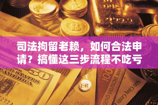 济南司法拘留老赖，如何合法申请？搞懂这三步流程不吃亏！