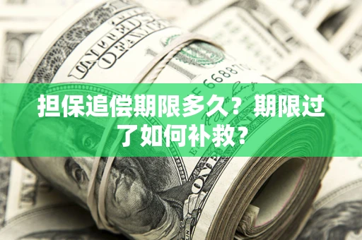 济南担保追偿期限多久？期限过了如何补救？