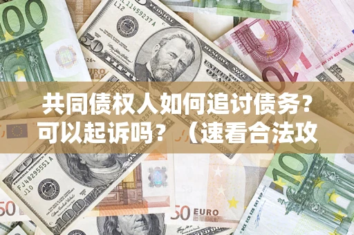 济南共同债权人如何追讨债务？可以起诉吗？（速看合法攻略）