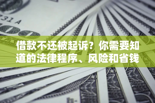 济南借款不还被起诉？你需要知道的法律程序、风险和省钱技巧
